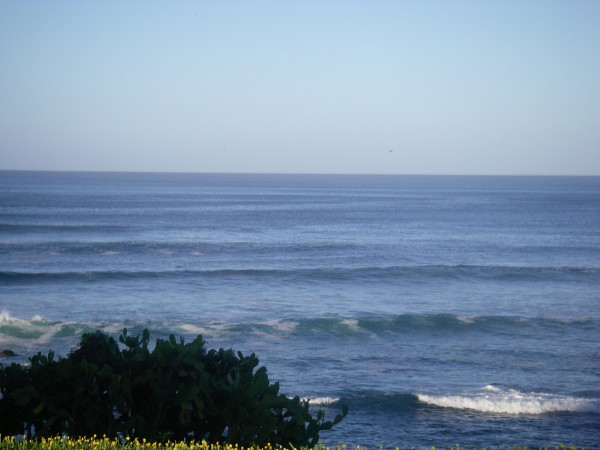 IMGP0059.JPG