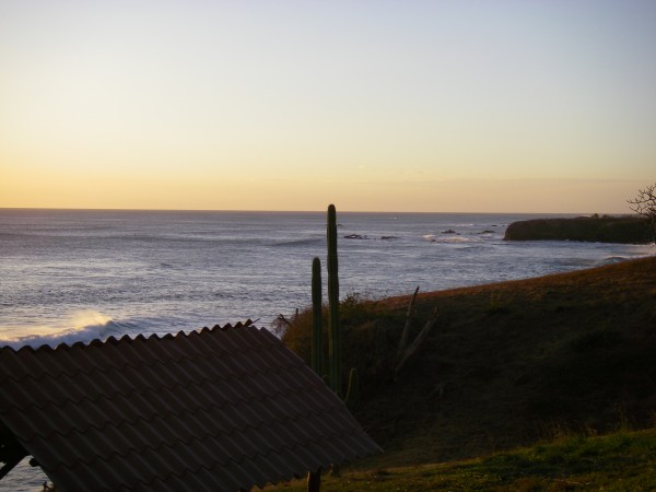 IMGP0081.JPG
