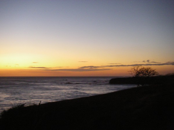 IMGP0090.JPG