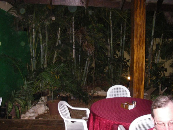 IMGP0094.JPG