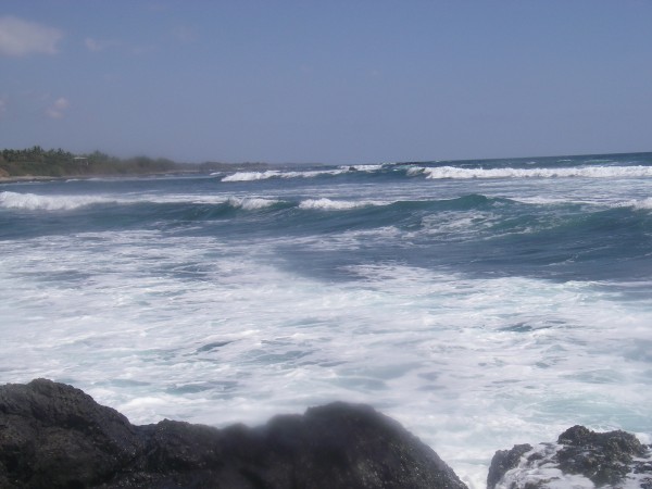 IMGP0110.JPG