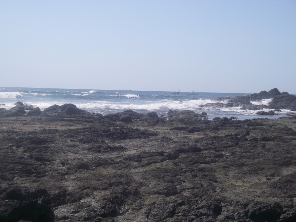 IMGP0113.JPG