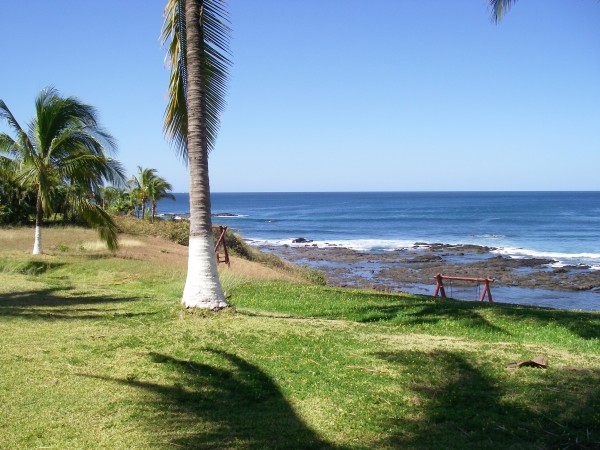 IMGP0117.JPG