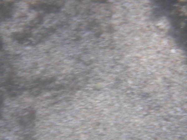 IMGP0126.JPG