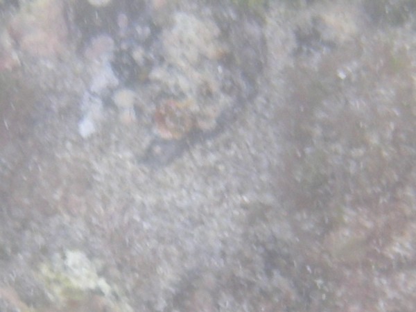 IMGP0128.JPG