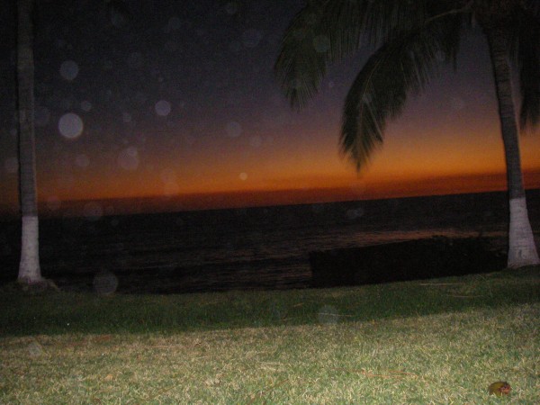 IMGP0147.JPG