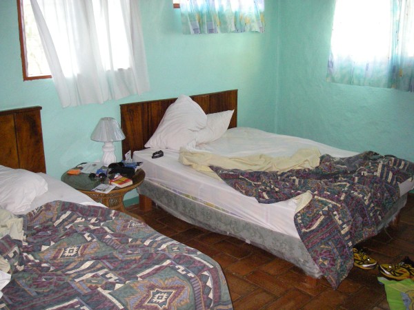 IMGP0150.JPG