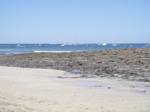 IMGP0160.JPG
