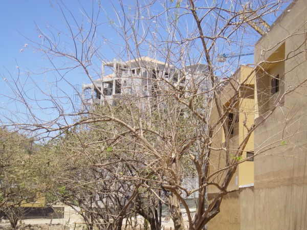 IMGP0169.JPG