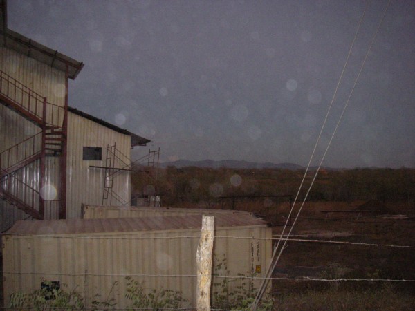 IMGP0198.JPG