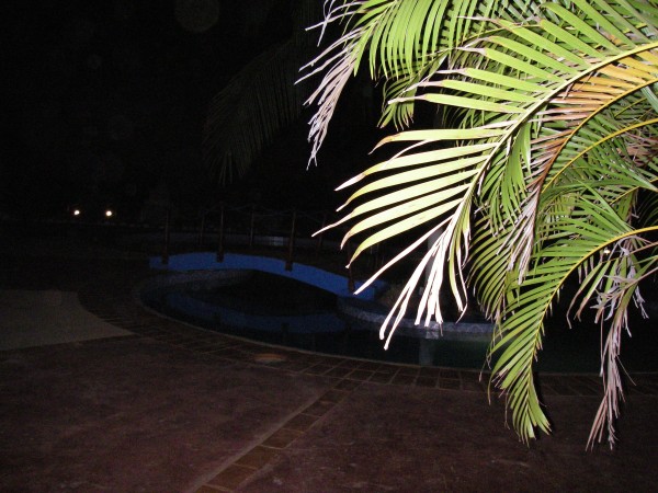 IMGP0200.JPG