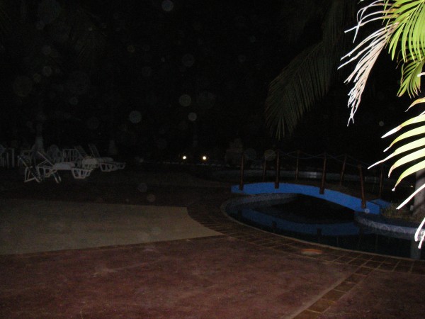 IMGP0201.JPG