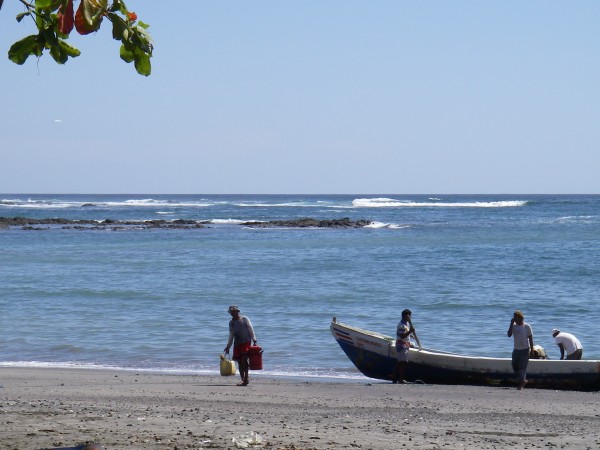 IMGP0215.JPG