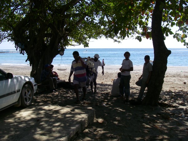 IMGP0217.JPG