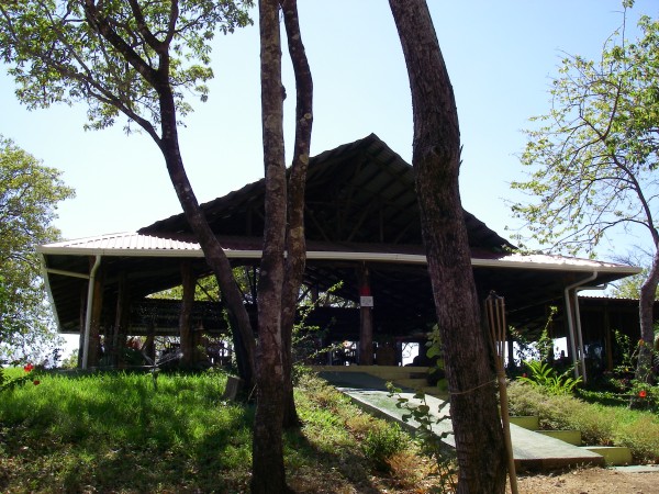 IMGP0220.JPG