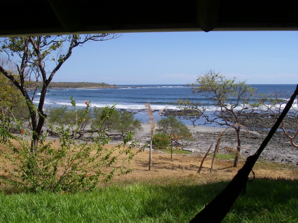 IMGP0225.JPG