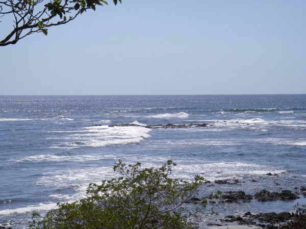 IMGP0227.JPG
