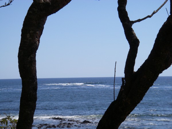 IMGP0229.JPG