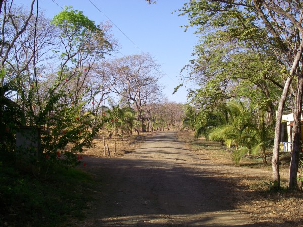 IMGP0246.JPG