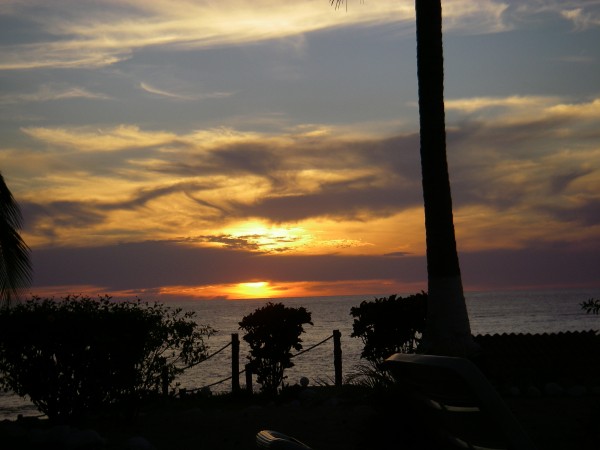 IMGP0269.JPG