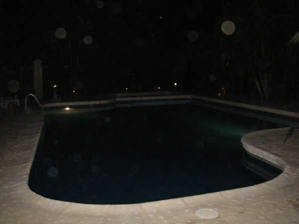 IMGP0280.JPG