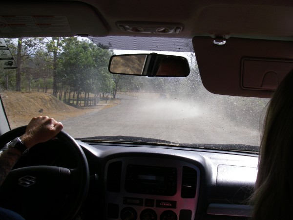 IMGP0295.JPG