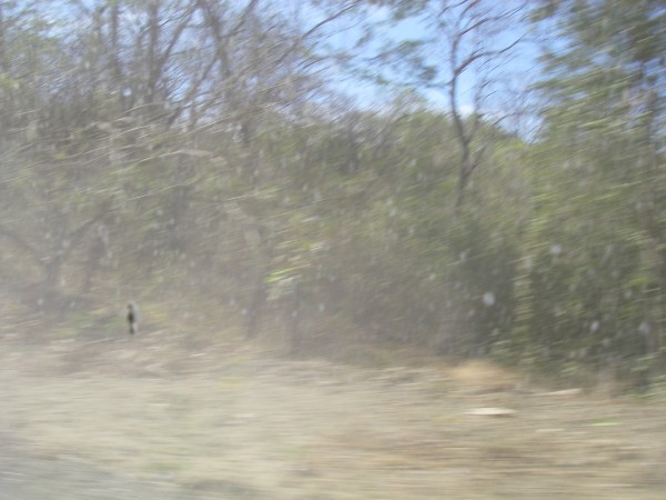 IMGP0298.JPG