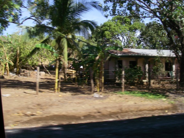 IMGP0302.JPG