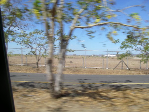 IMGP0318.JPG