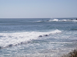 IMGP0057.JPG