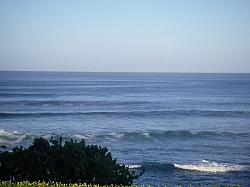 IMGP0059.JPG