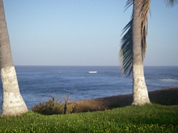 IMGP0060.JPG