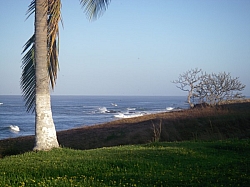 IMGP0061.JPG
