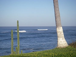 IMGP0063.JPG