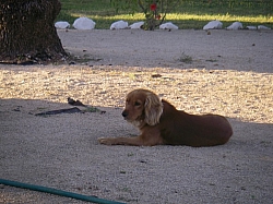 IMGP0065.JPG