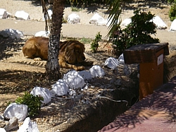 IMGP0077.JPG