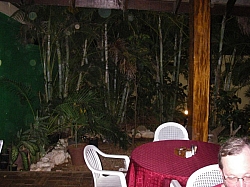 IMGP0094.JPG