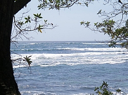 IMGP0100.JPG