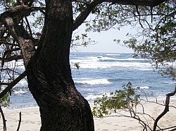 IMGP0101.JPG