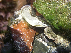 IMGP0102.JPG