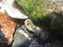 IMGP0103.JPG