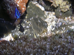 IMGP0104.JPG