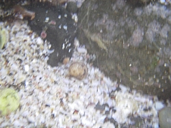 IMGP0106.JPG
