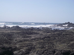 IMGP0113.JPG