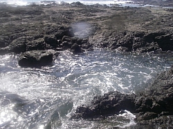 IMGP0114.JPG
