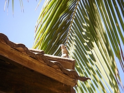 IMGP0120.JPG