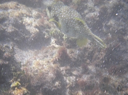 IMGP0122.JPG