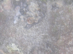 IMGP0128.JPG