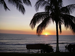 IMGP0136.JPG