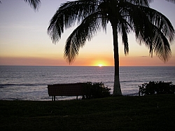 IMGP0138.JPG